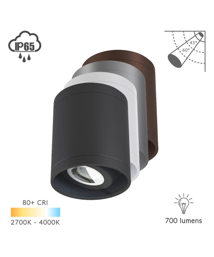 Alcon 11235-ADJ25 LED Cylinder Adjustable Ceiling Light