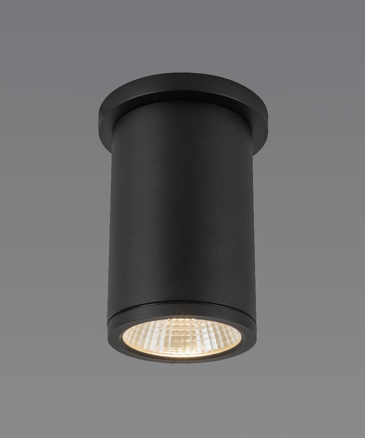 4-Inch LED Exterior Surface-Mount Cylinder Light