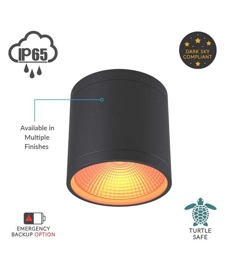 6-Inch Outdoor Turtle-Friendly LED Cylinder Light