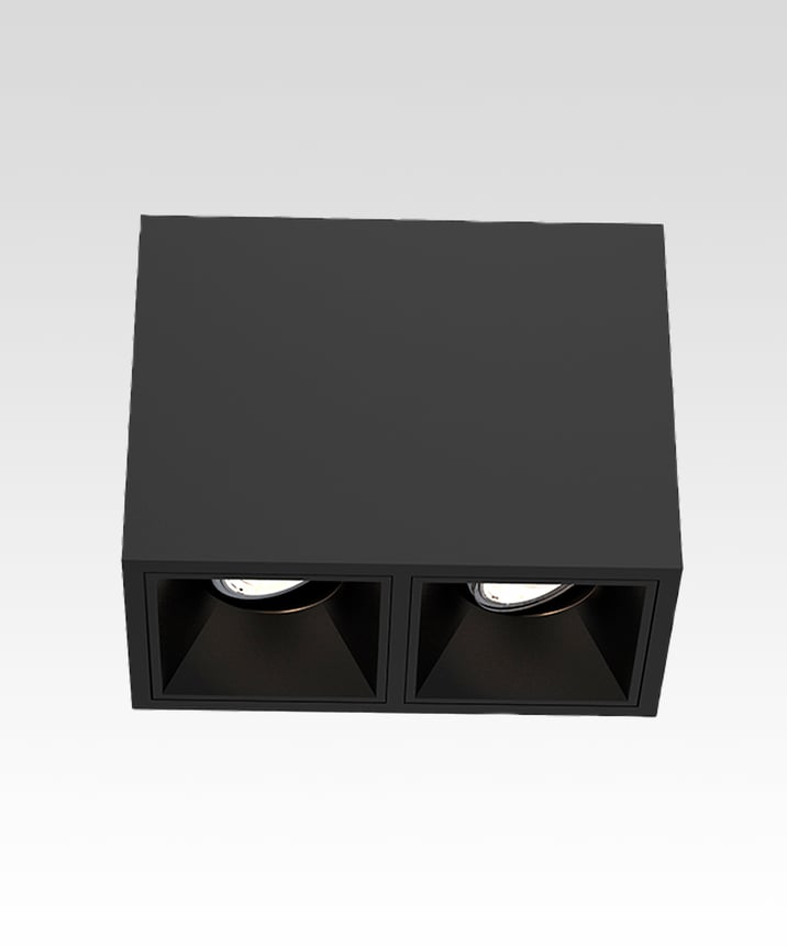 2-Head Multiple LED Gimbal Ceiling Light