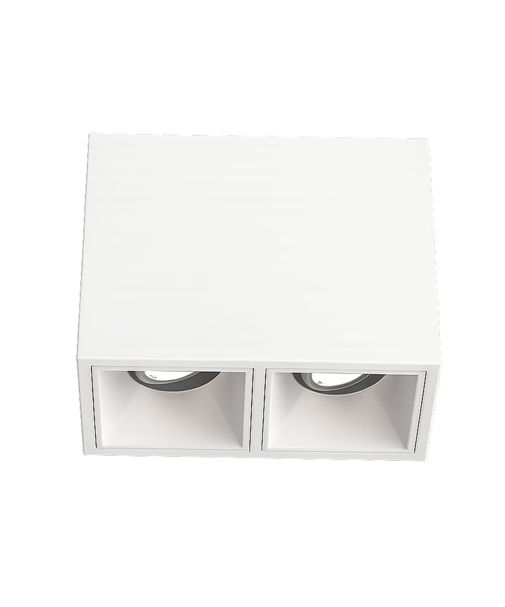2-Head Multiple LED Gimbal Ceiling Light