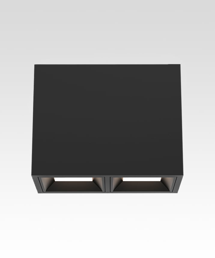 2-Head Multiple LED Panel Ceiling Light