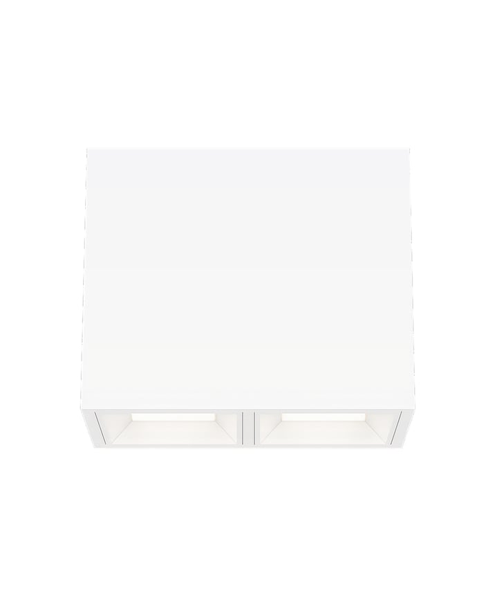 2-Head Multiple LED Panel Ceiling Light