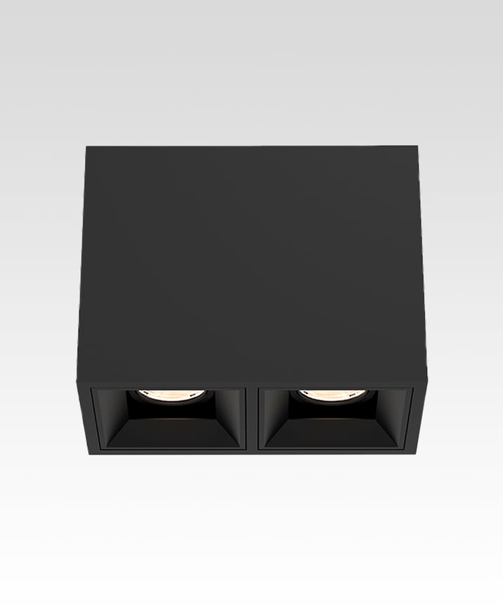2-Head Multiple LED Fixed Ceiling Downlight