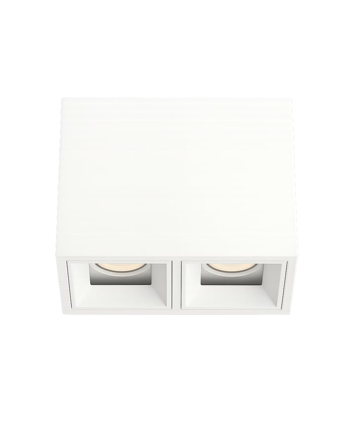 2-Head Multiple LED Fixed Ceiling Downlight