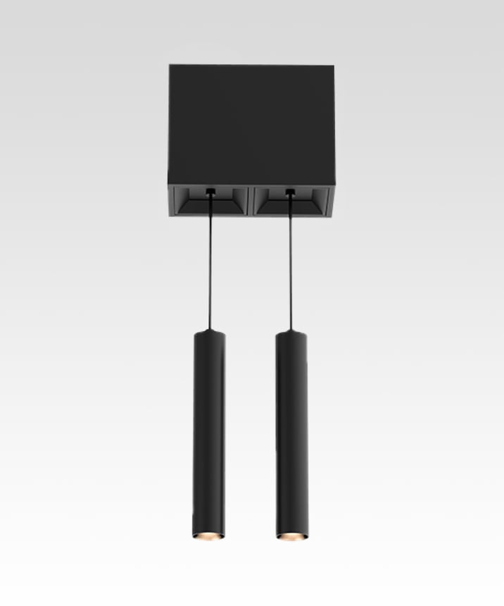 2-Head Multiple LED Suspension Light