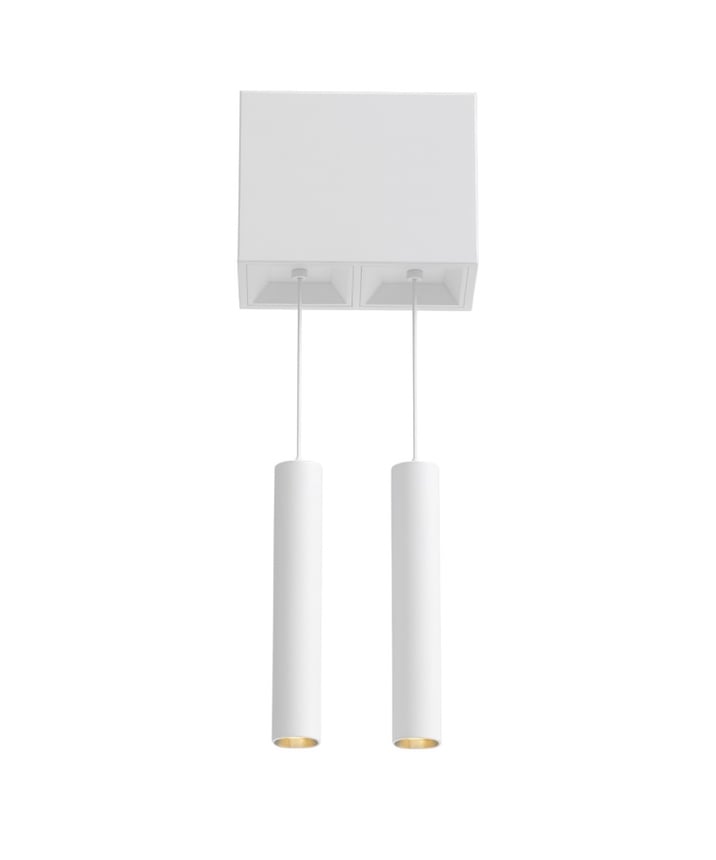 2-Head Multiple LED Suspension Light