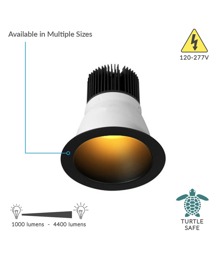 Alcon 11248 Turtle Friendly Architectural Amber LED Commercial Retrofit Downlight Fixture