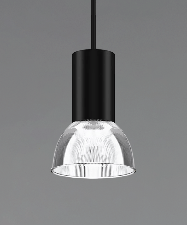 Product rendering of the 15204-12 dome pendant light, shown with a polycarbonate reflector and black stem housing