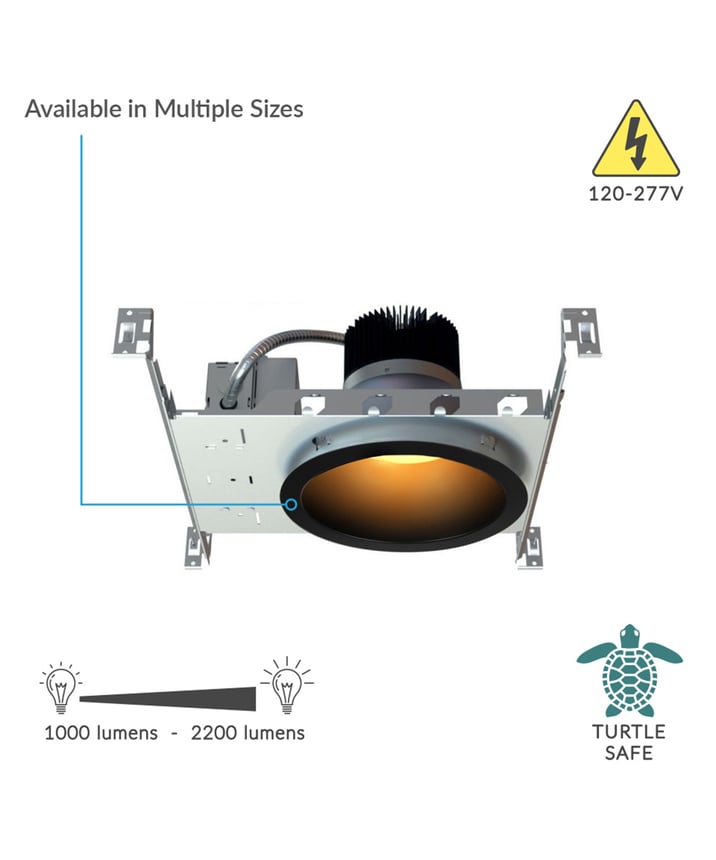 Alcon Lighting 11242 Turtle Friendly Architectural Amber LED Commercial Downlight Fixture
