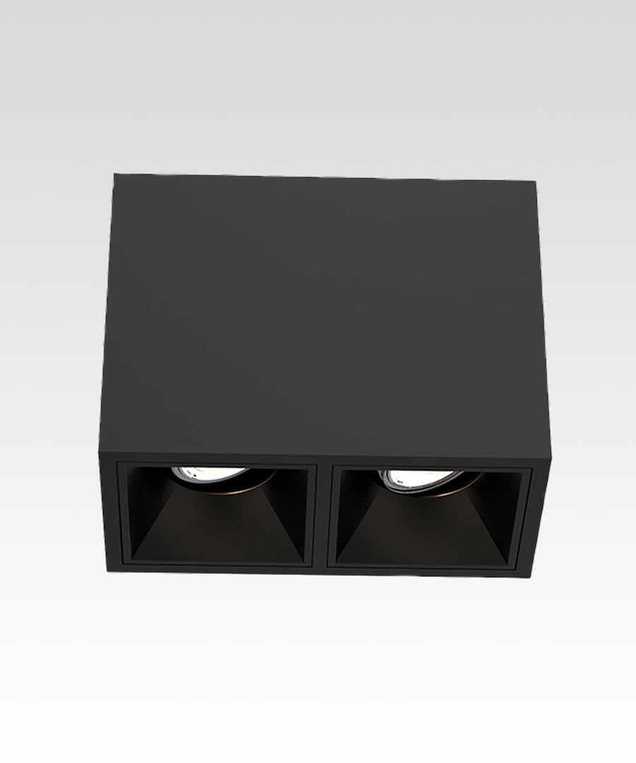 2-Head Multiple LED Gimbal Ceiling Light