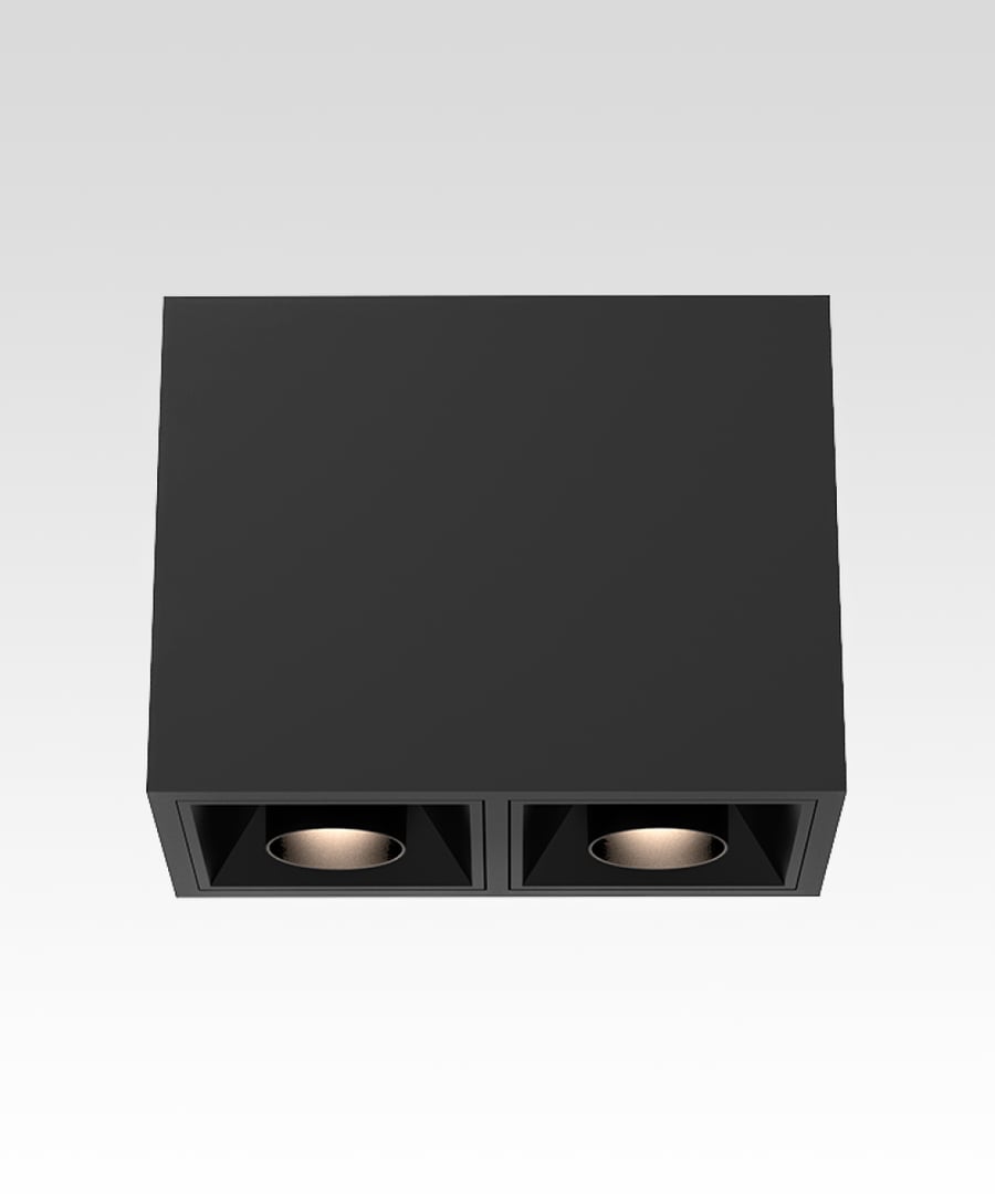 2-Head Multiple LED Snoot Gimbal Light