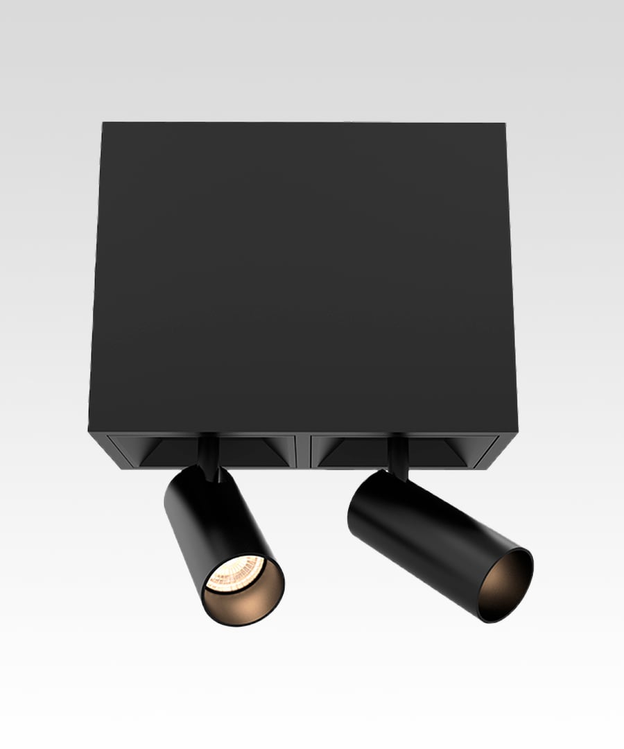 2-Head Multiple LED Spot Light