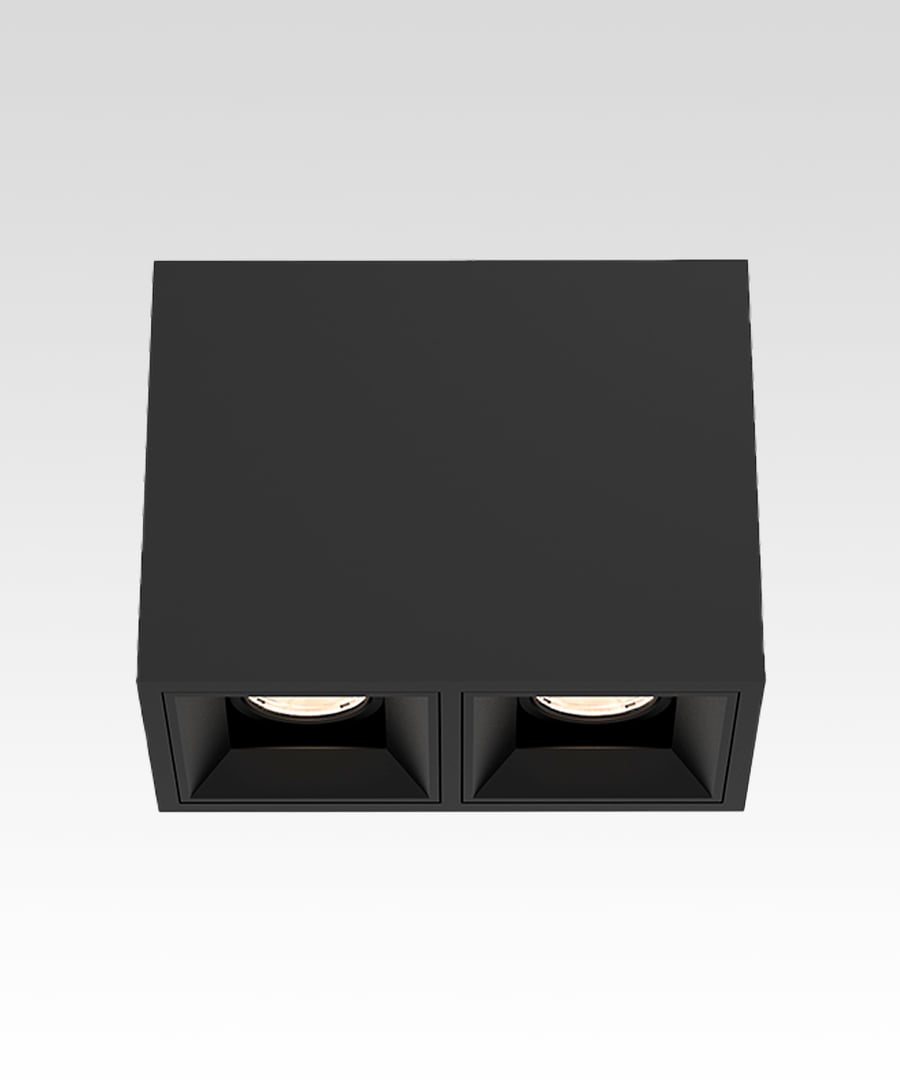 2-Head Multiple LED Fixed Ceiling Downlight
