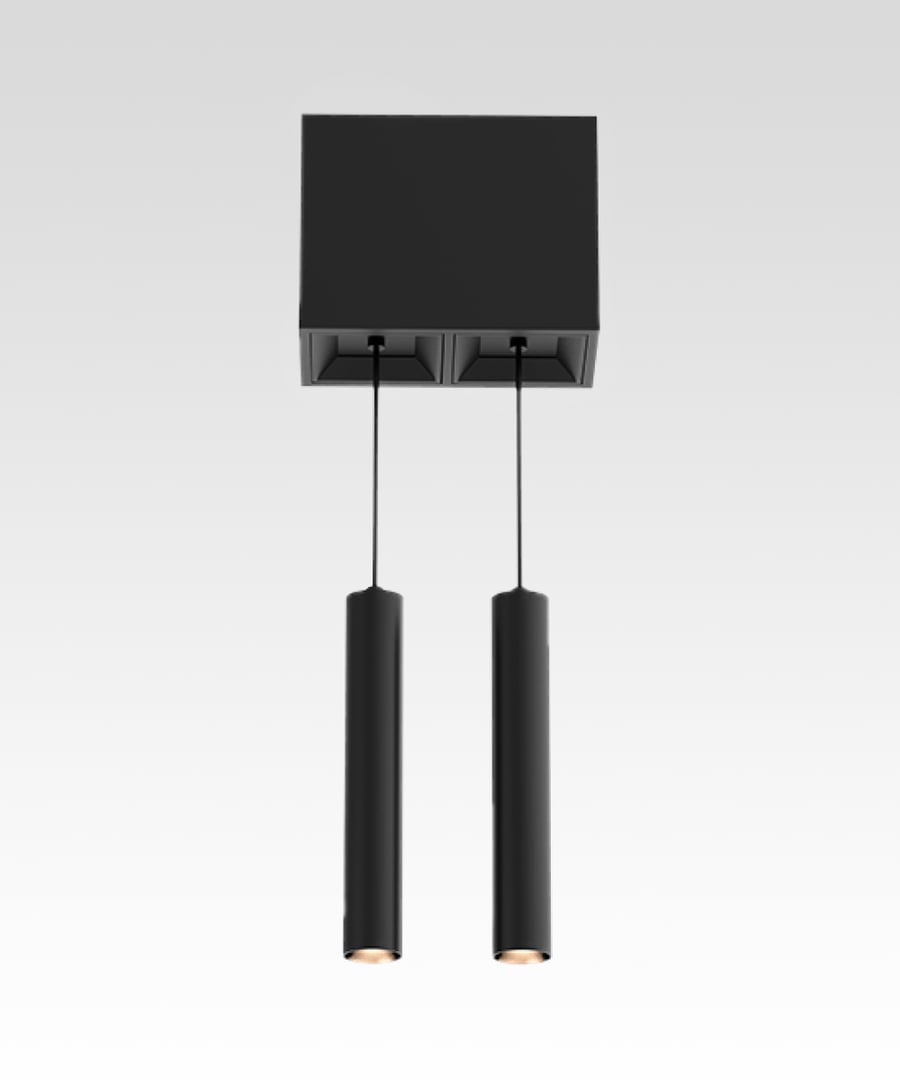 2-Head Multiple LED Suspension Light
