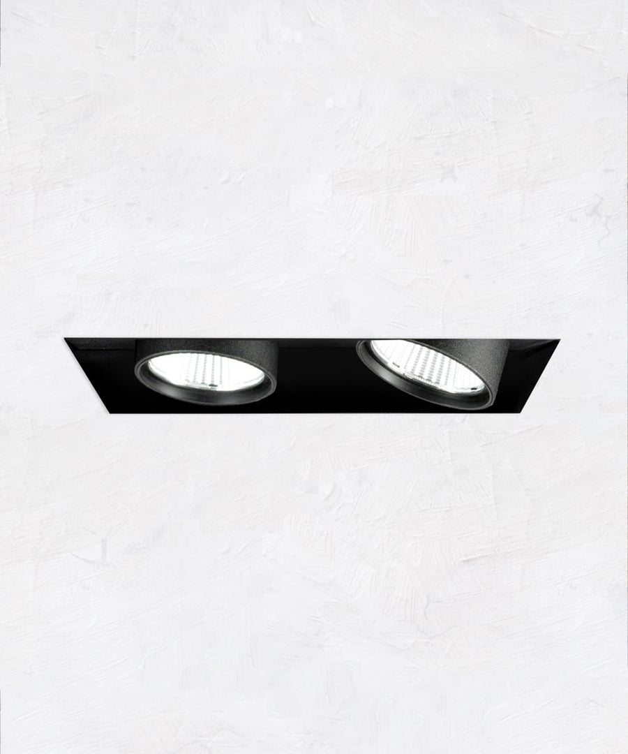 2-Head Multiple Adjustable Pull-Down Recessed LED Light