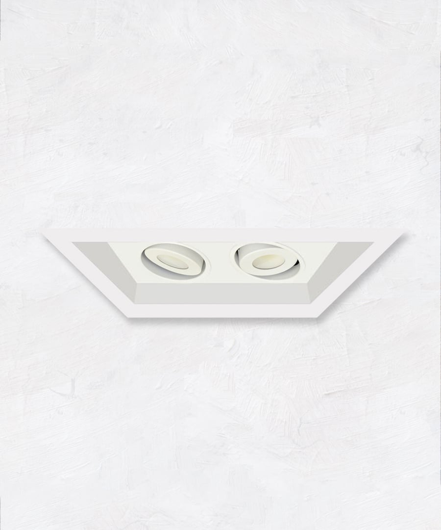 2-Head Multiple Flanged Adjustable LED Recessed Light