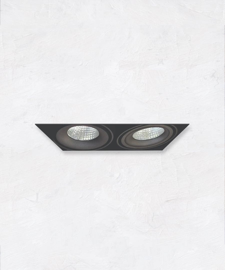 2-Head Multiple Trimless Adjustable LED Recessed Light