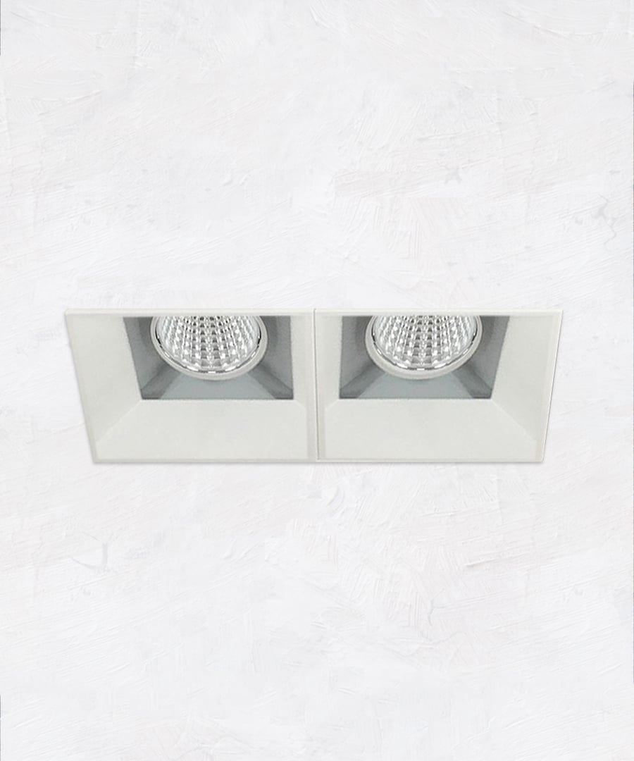 Architectural 2-Head Multiple Recessed LED LIght