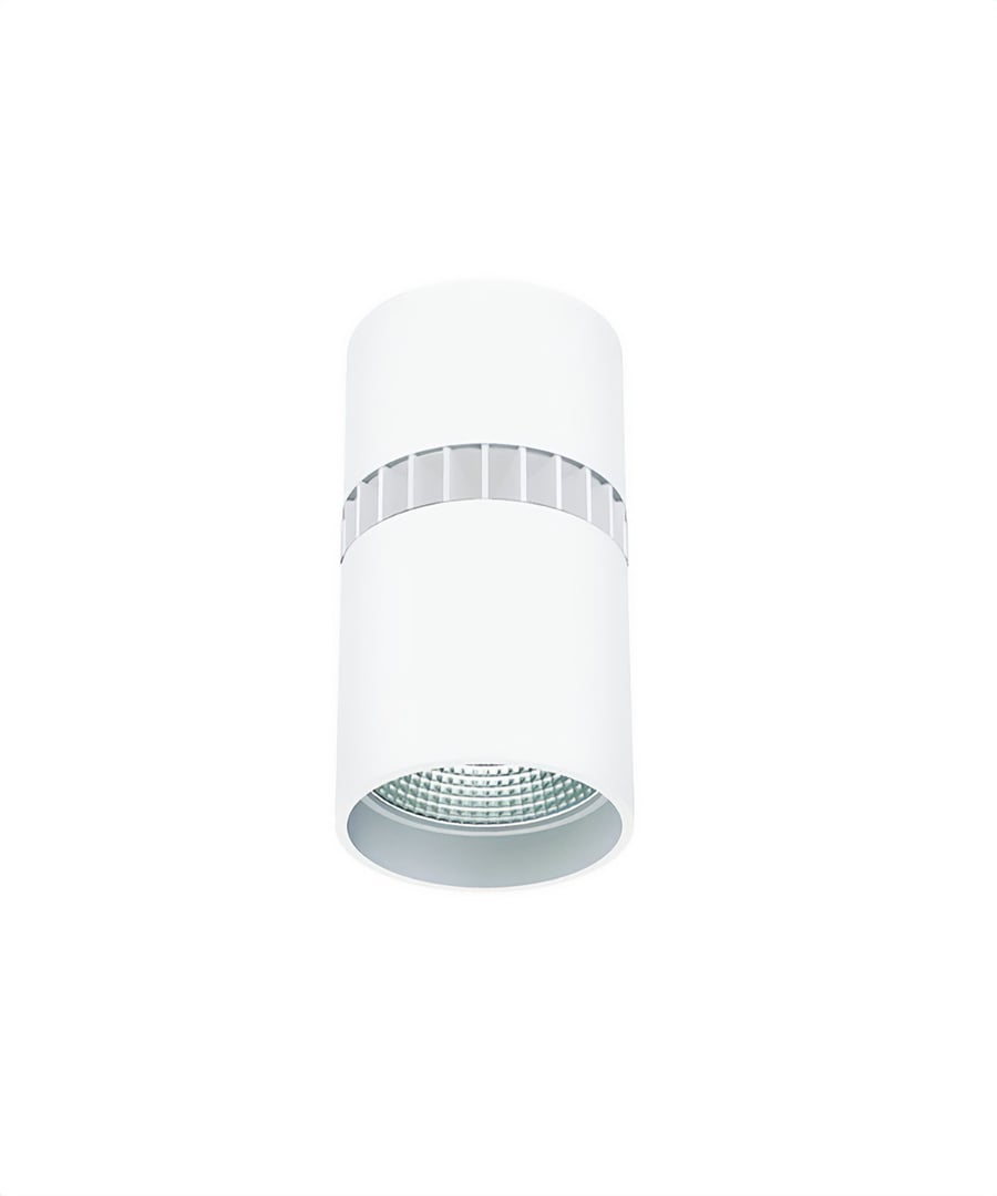 4-Inch LED Surface-Mounted Cylinder Ceiling Light