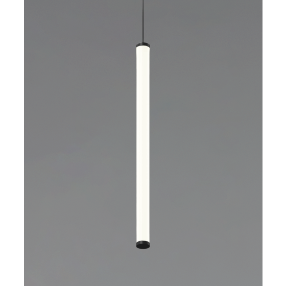 12143 vertical tube pendant light shown in black finish and with a vertical cylindrical lens.