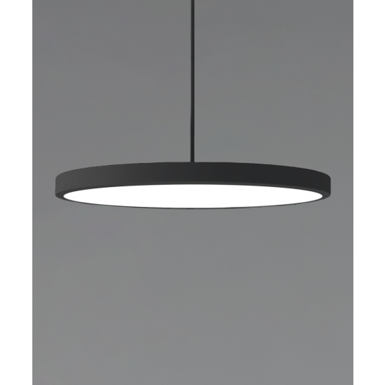 12182-12 LED disk light shown in a black finish with a 12-inch flush trimless frosted polycarbonate lens.