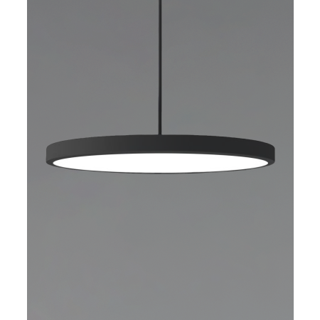 12182-12 LED disk light shown in a black finish with a 12-inch flush trimless frosted polycarbonate lens.