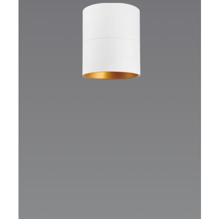 6-Inch Beveled Cylinder LED Ceiling Light