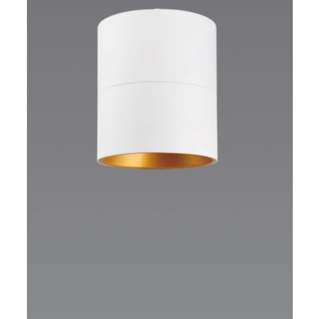 8-Inch Beveled Cylinder LED Ceiling Light