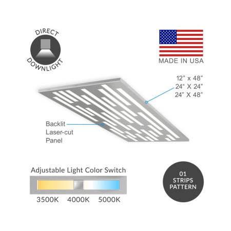 Modern Decorative Strips Flat Panel LED Light