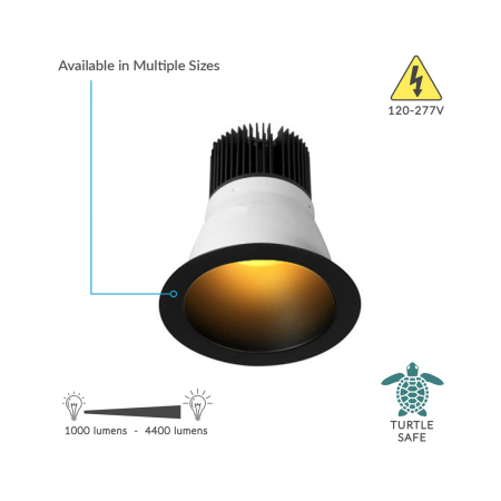 Alcon 11248 Turtle Friendly Architectural Amber LED Commercial Retrofit Downlight Fixture