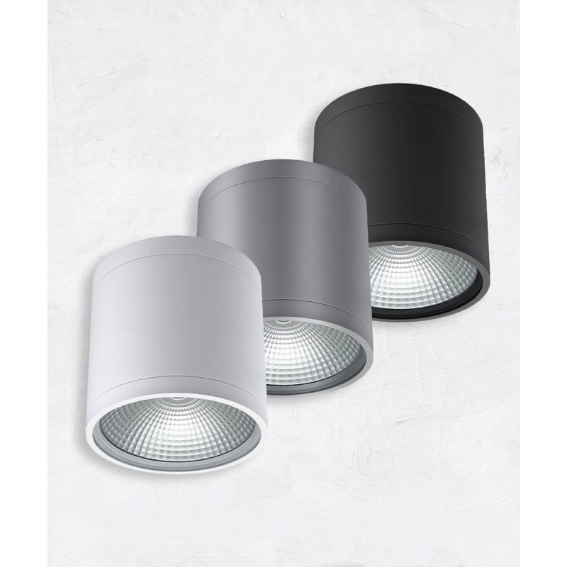 Alcon 11236-DIR Pavo Architectural LED 6 Inch Cylinder Ceiling Light