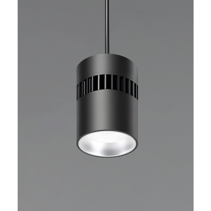 Alcon 12301-6-P, suspended commercial cylindrical pendant light shown with black fins and black housing finish.